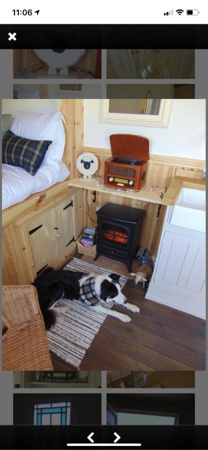 Sheepwash Shepherds Hut Bebside Екстер'єр фото